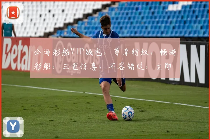 公海彩船VIP钱包，尊享特权，畅游彩船，三重惊喜，不容错过，立即体验