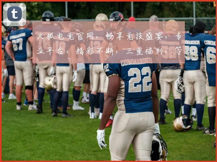火狐电竞官网，畅享竞技盛宴，专业平台，精彩不断，三重福利，等你来战，火速加入