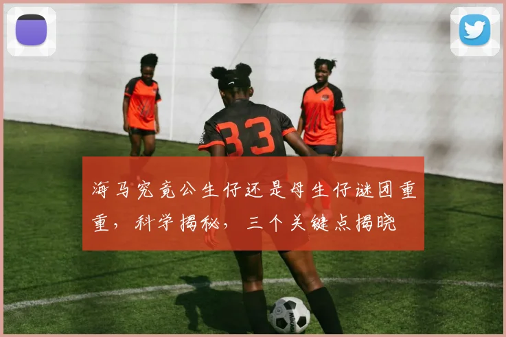 海马究竟公生仔还是母生仔谜团重重，科学揭秘，三个关键点揭晓