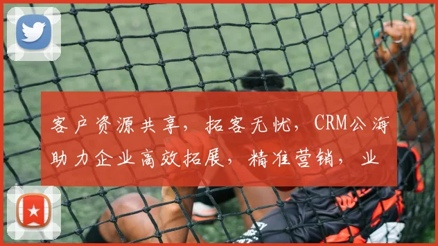客户资源共享，拓客无忧，CRM公海助力企业高效拓展，精准营销，业绩倍增三步走